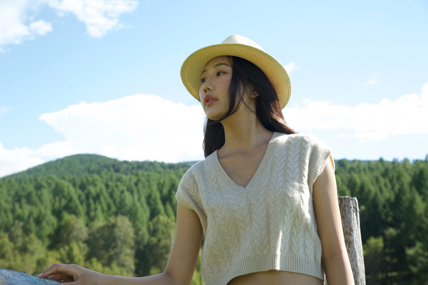 Cashmere V Neck Vest